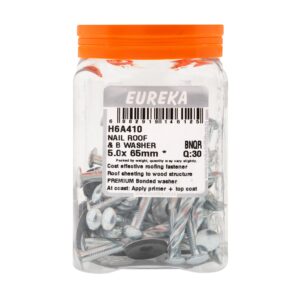 Nail Roof&B Washer 5.0X65Mm Q.30