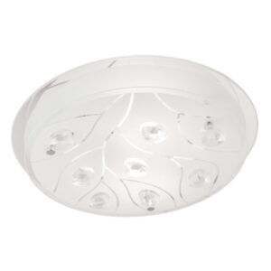Bright Star Cf361 Large
